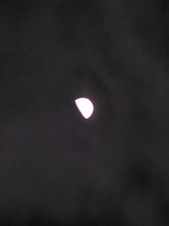 070126.jpg