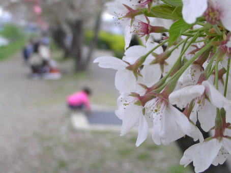 07040801.jpg