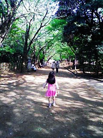 07042900.jpg