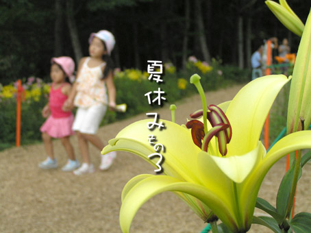 07081701.jpg