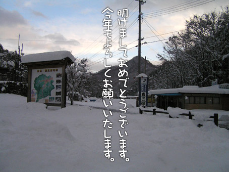 08010301.jpg