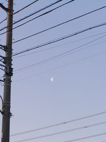 08022901.jpg
