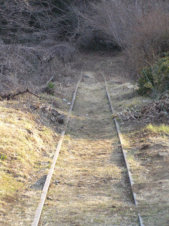 08030801.jpg