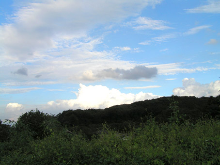 08083101.jpg