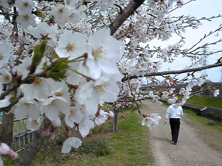 09040501.jpg