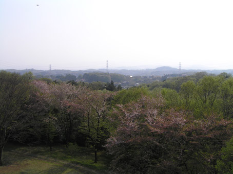 09041201.jpg
