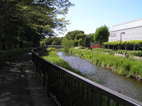 09042601.jpg
