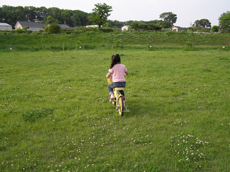 09050907.jpg