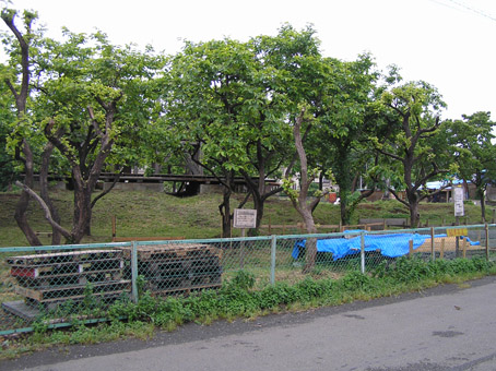 09052402.jpg