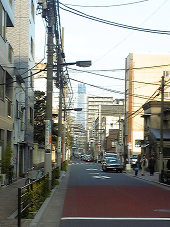 10031901.jpg