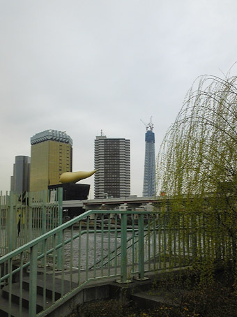 10033101.jpg