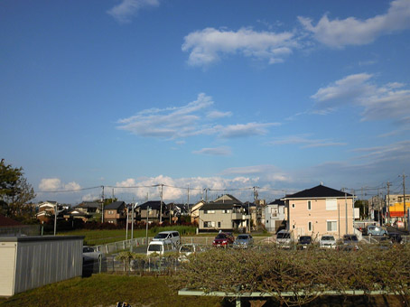 10042406.jpg