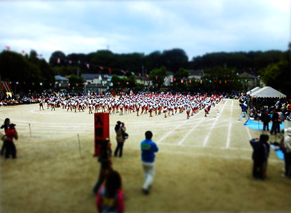 10053007.jpg