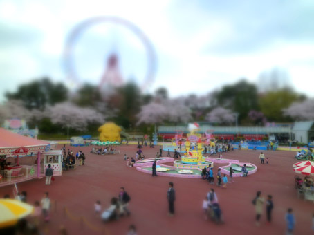 11041000.jpg