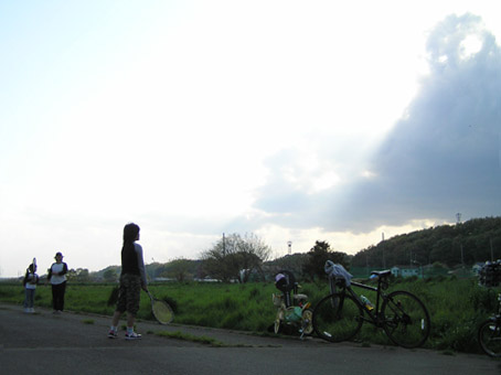11042423.jpg