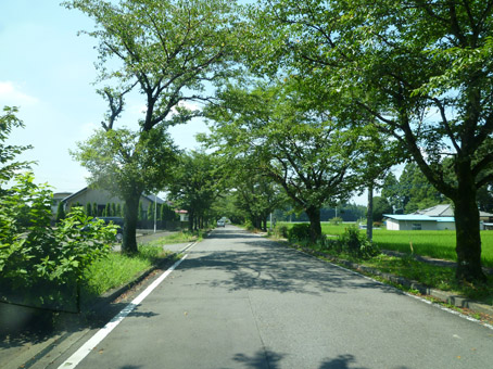 11080901.jpg