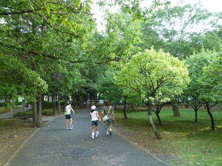 11091906.jpg