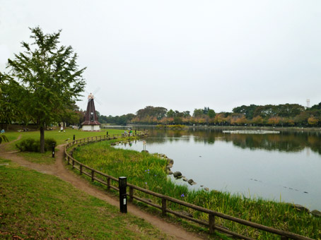 11103005.jpg