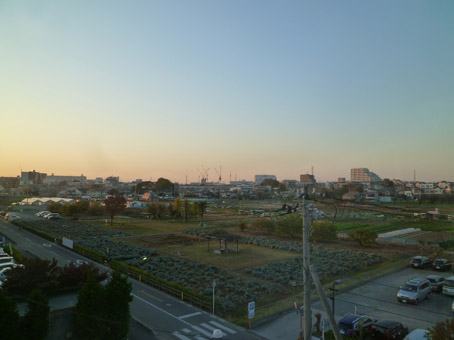 11112604.jpg