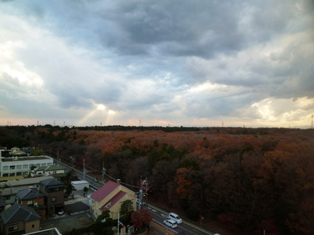 11121601.jpg