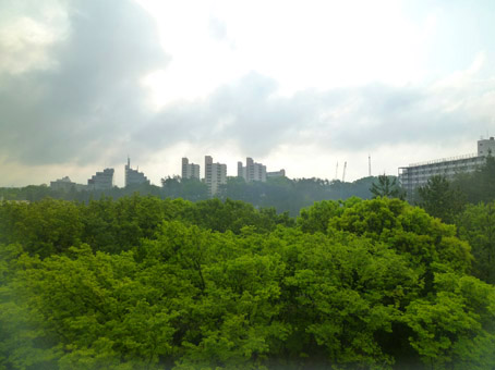 12051601.jpg