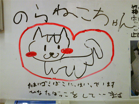 1305050101.jpg